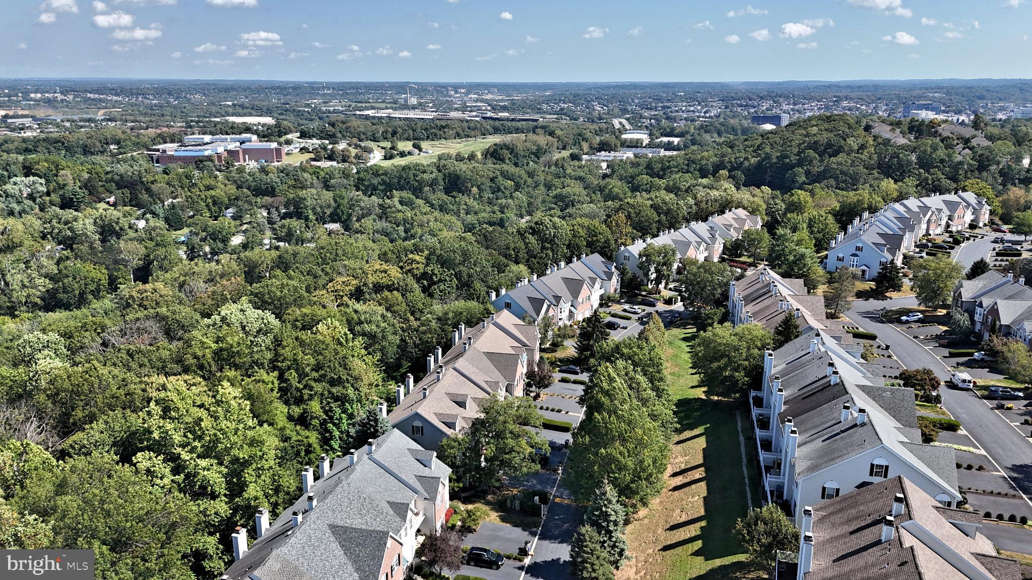 235 Valley Forge Lookout Place Wayne, PA 19087 - Photo 23 of 24 Serene suburban landscape with lush greenery.