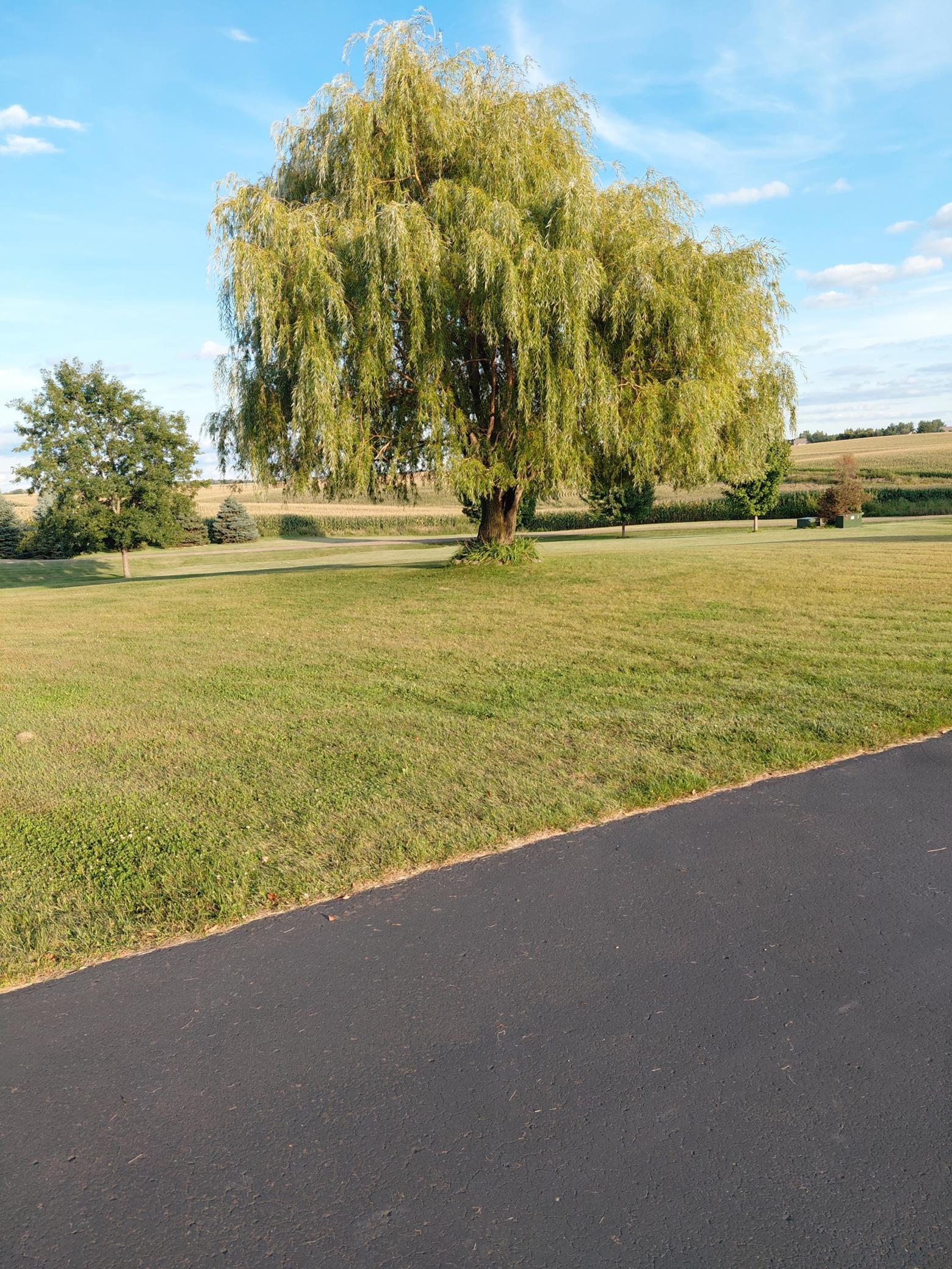 696 Buttercup Court Hudson, WI 54016 - Photo 42 of 55