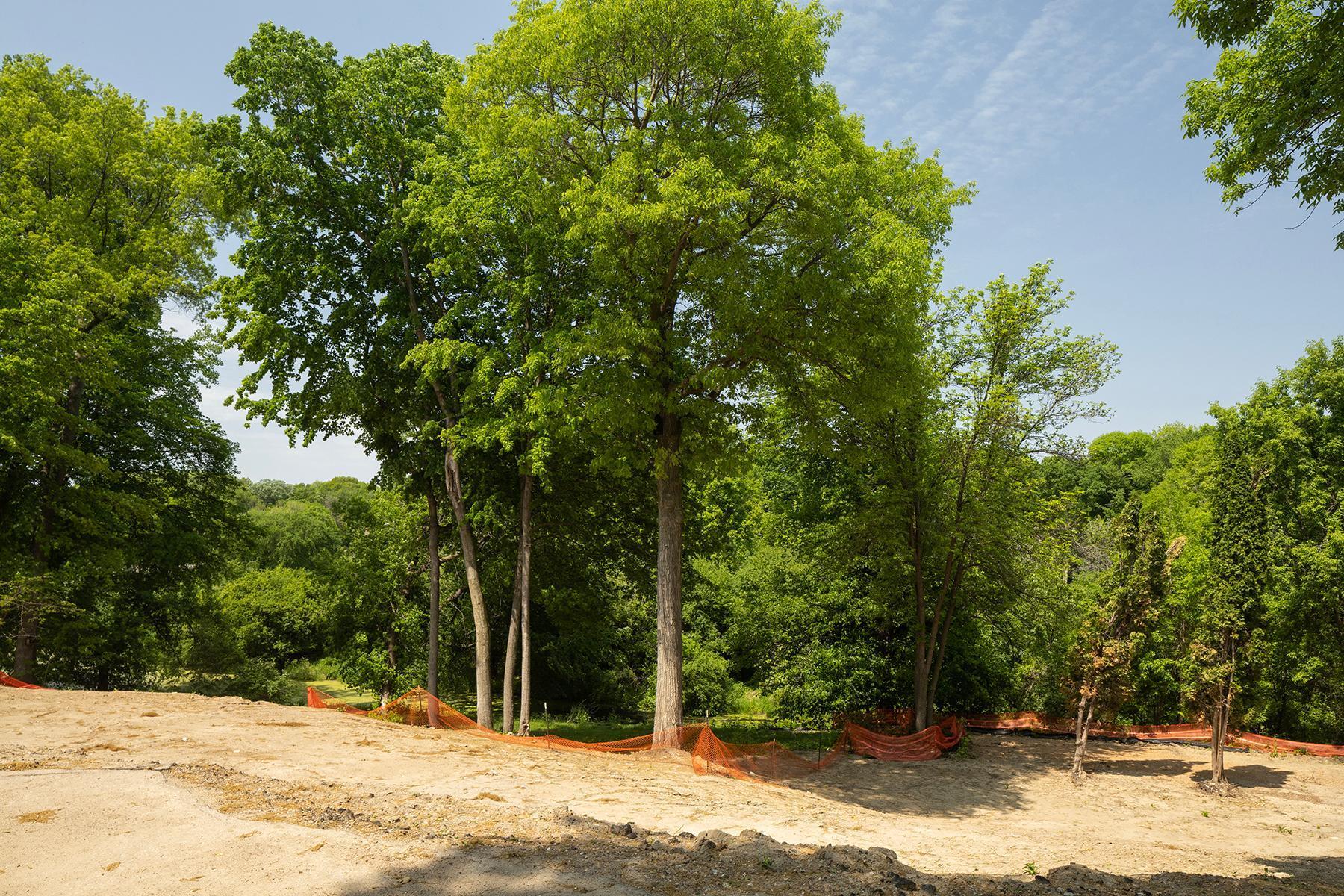 425 Ferndale Woods Road Wayzata, MN 55391 - Photo 31 of 38 Gallery Image 31