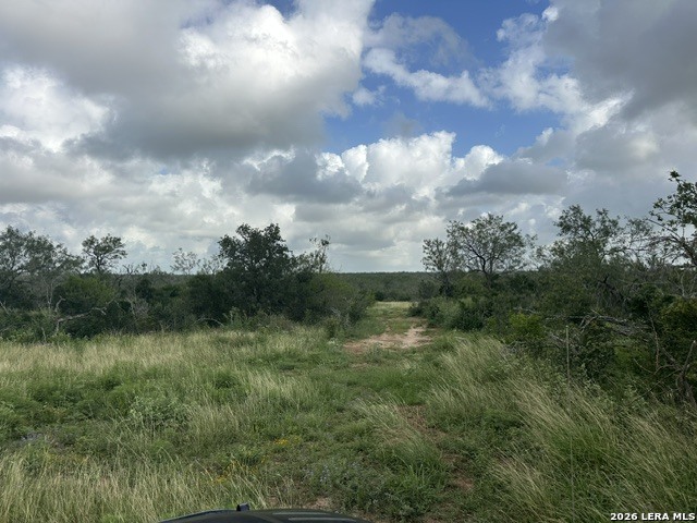 Tbd Leal Road Pleasanton, TX 78064 - Photo 6 of 14