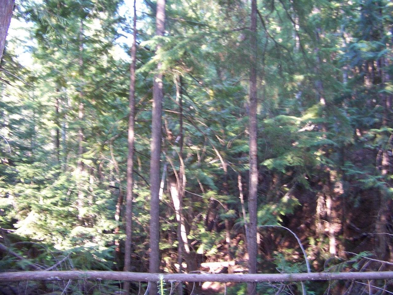 473 Reynolds Creek Road Cusick, WA 99119 - Photo 11 of 26 Gallery Image 11