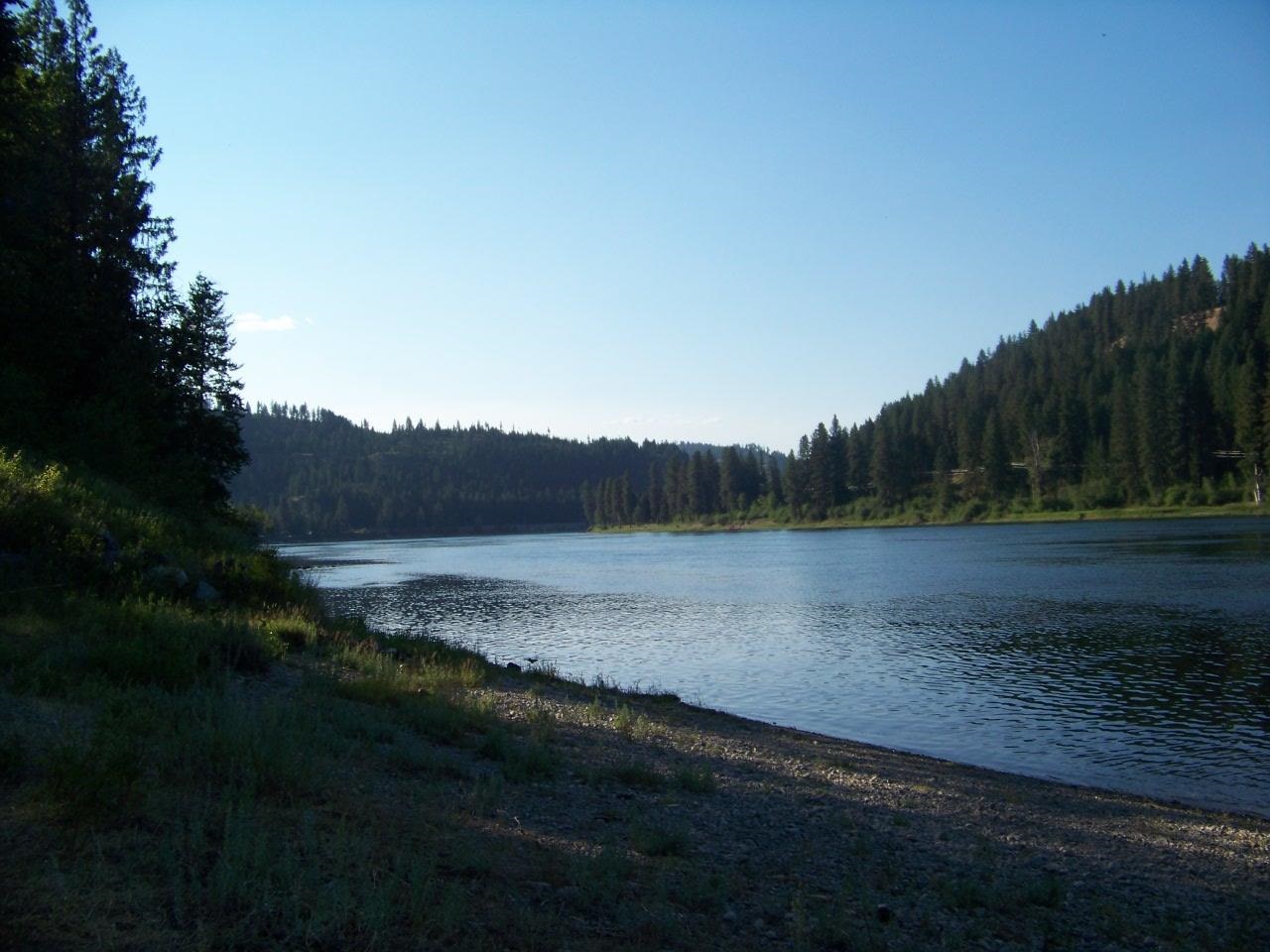 473 Reynolds Creek Road Cusick, WA 99119 - Photo 13 of 26 Gallery Image 13