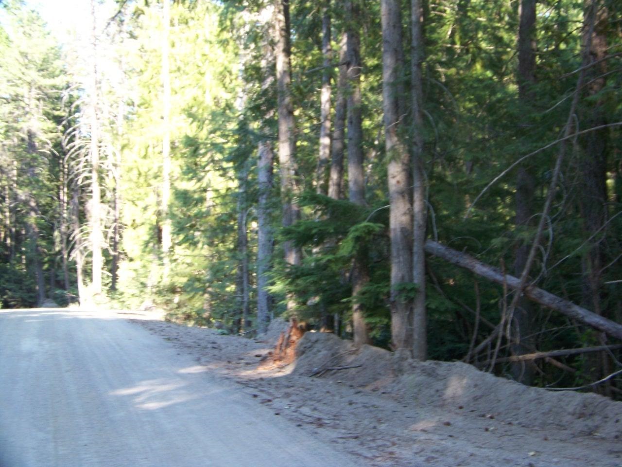473 Reynolds Creek Road Cusick, WA 99119 - Photo 14 of 26 Gallery Image 14