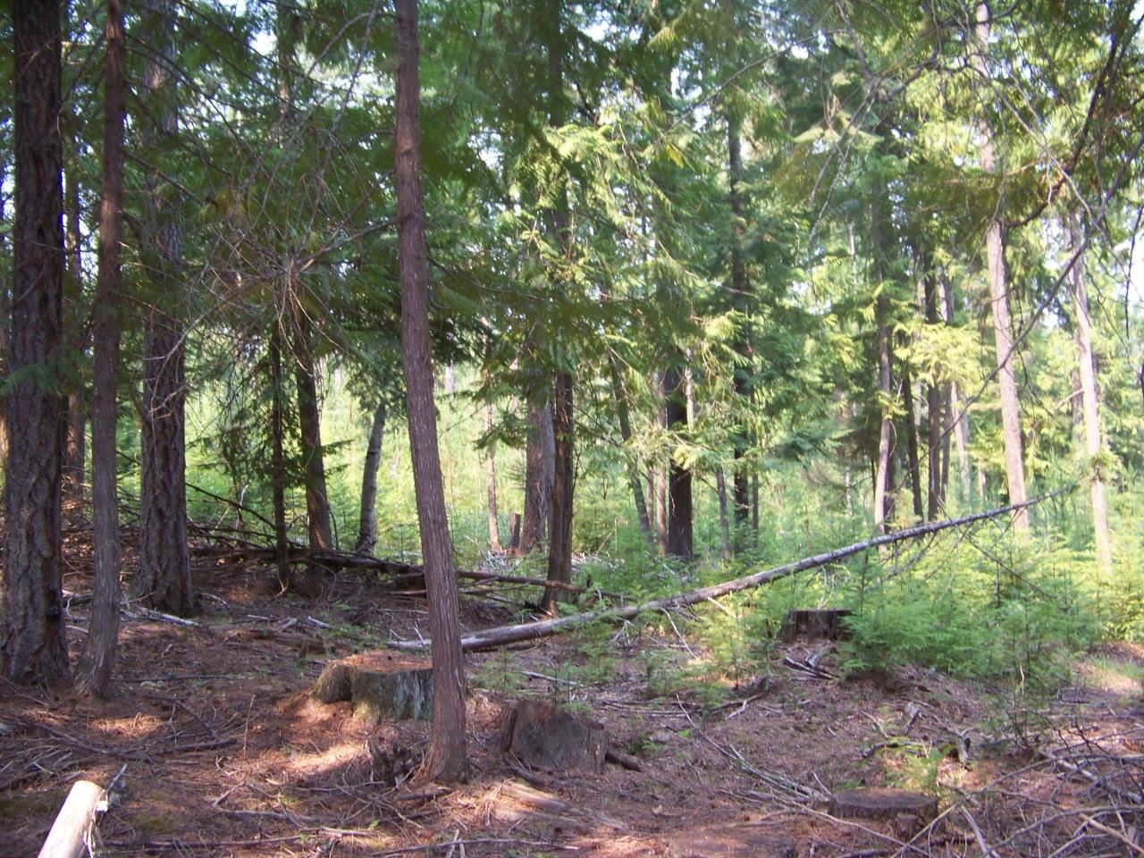 473 Reynolds Creek Road Cusick, WA 99119 - Photo 3 of 26 Gallery Image 3