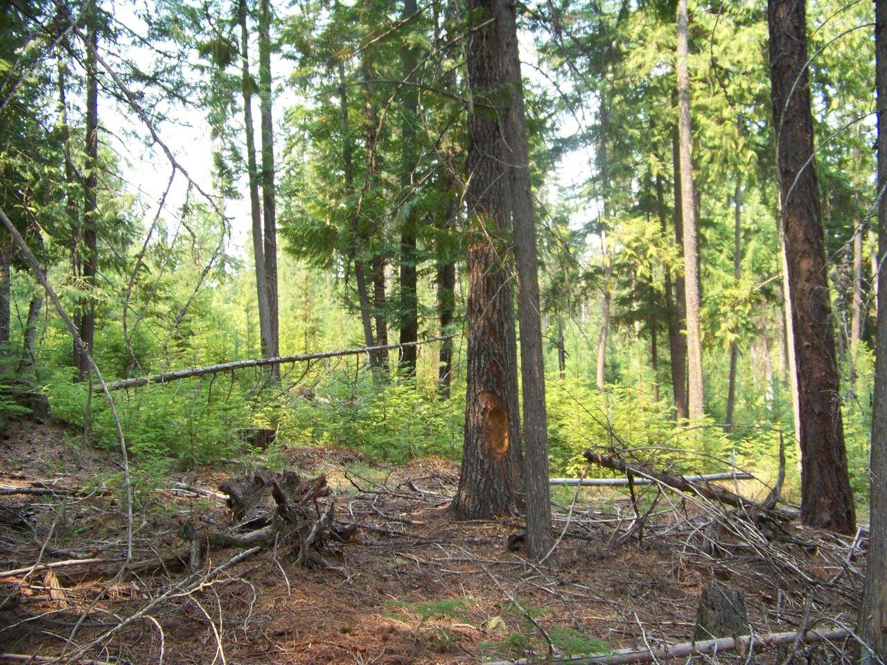473 Reynolds Creek Road Cusick, WA 99119 - Photo 23 of 26 Gallery Image 23