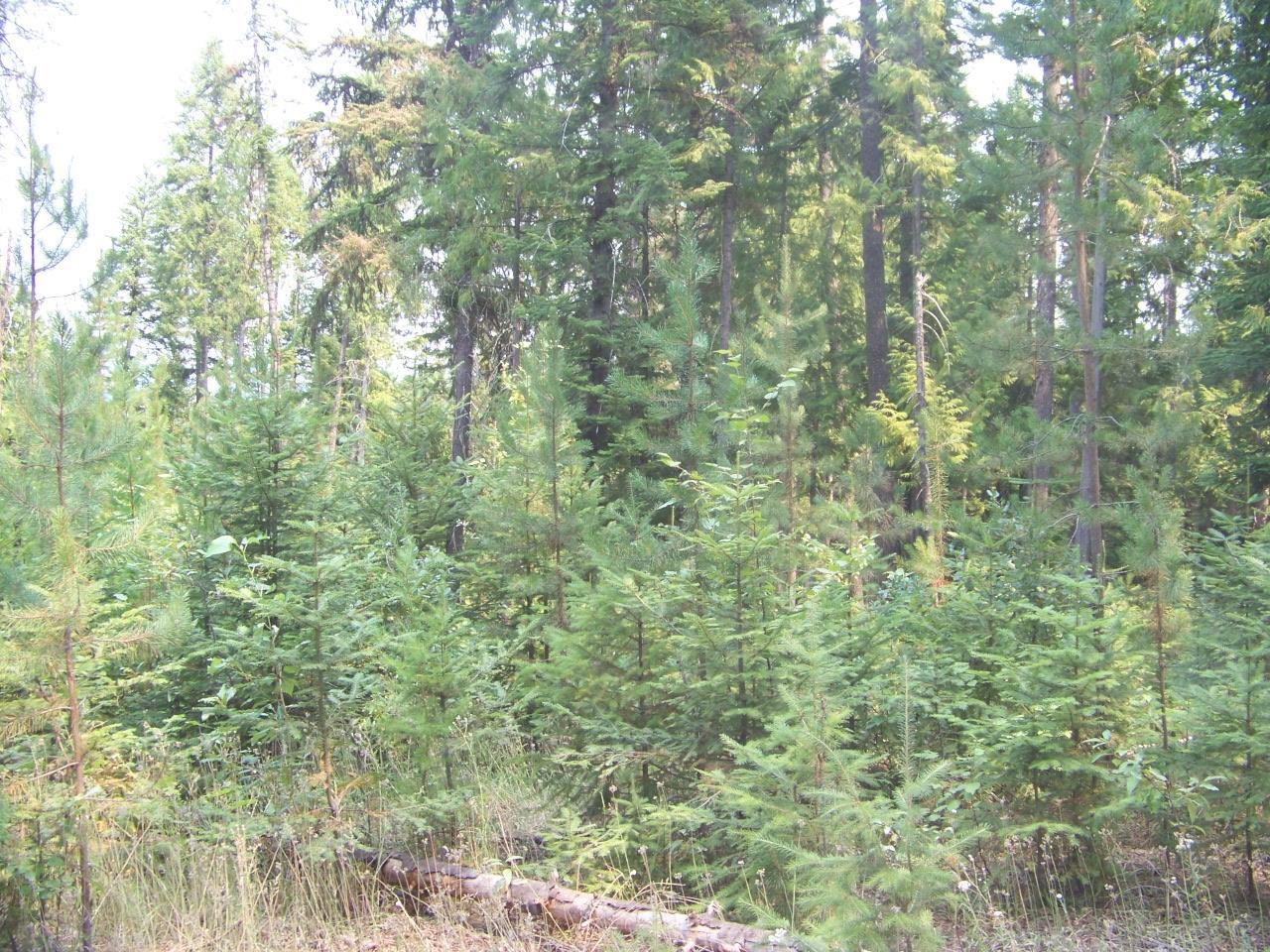 473 Reynolds Creek Road Cusick, WA 99119 - Photo 24 of 26 Gallery Image 24