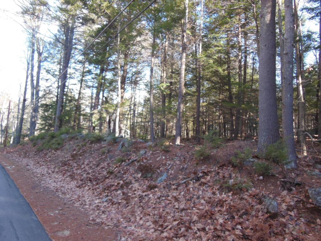 14.1 Mountain Road Gilmanton Iron Works, NH 03837 - Photo 4 of 10