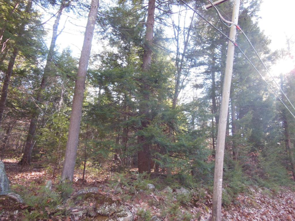 14.1 Mountain Road Gilmanton Iron Works, NH 03837 - Photo 5 of 10