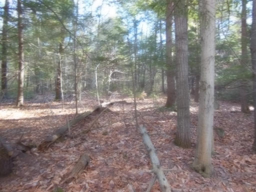 14.1 Mountain Road Gilmanton Iron Works, NH 03837 - Photo 6 of 10