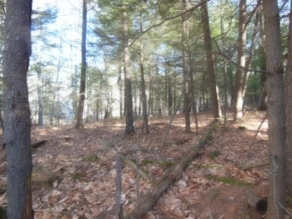 14.1 Mountain Road Gilmanton Iron Works, NH 03837 - Photo 7 of 10