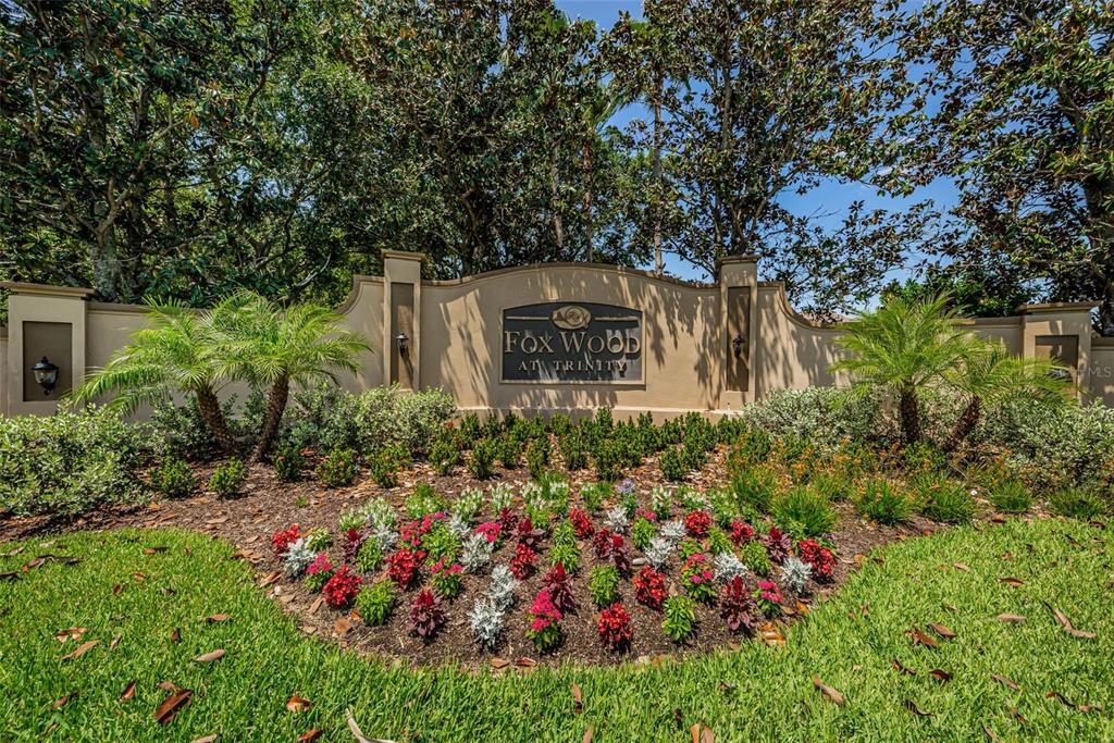 1821 Alvara Place Trinity, FL 34655 - Photo 38 of 63