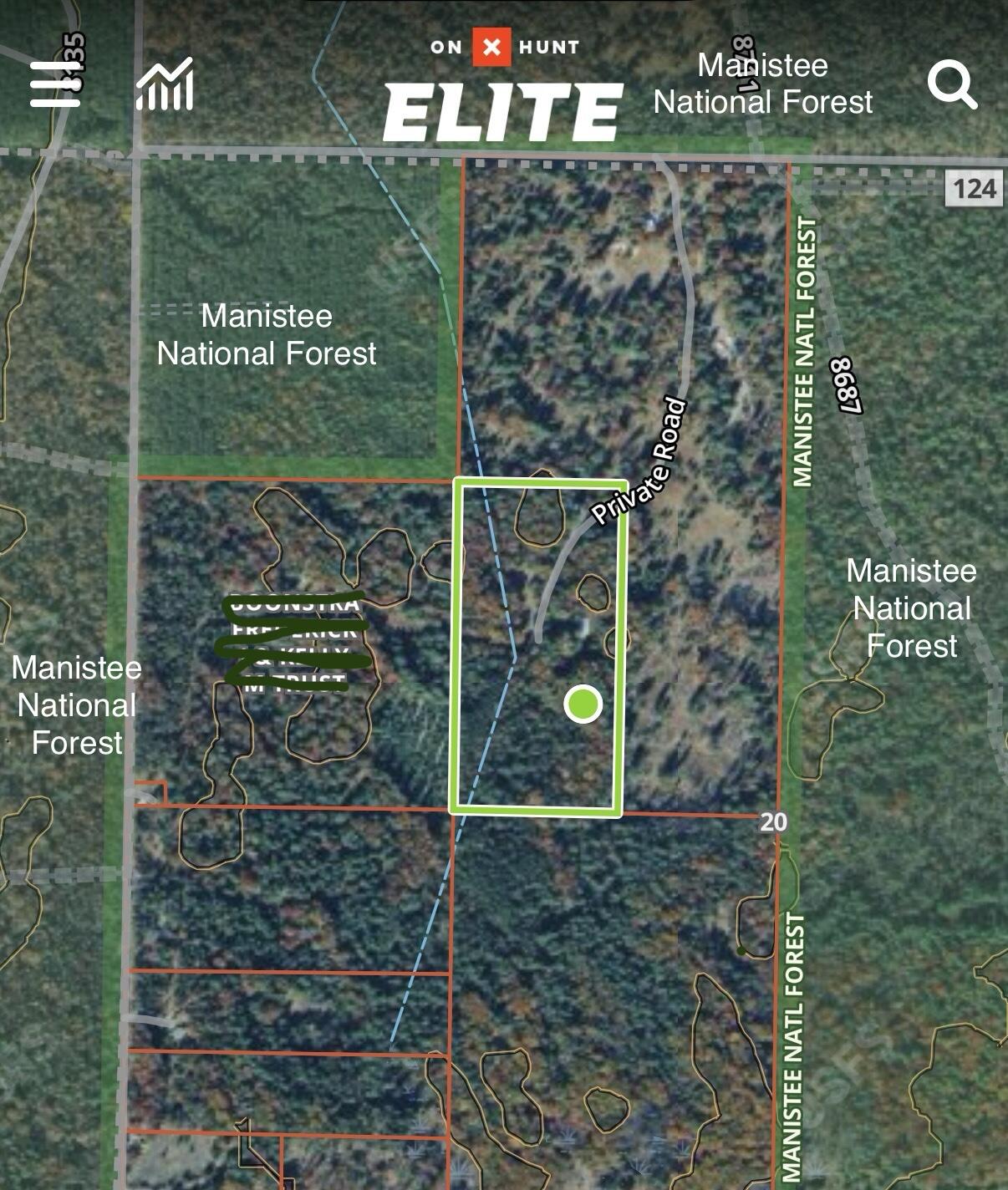 13325 West Pine Lake Road Wellston, MI 49689 - Photo 47 of 50 47