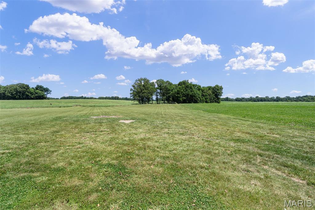 4243 Bushy Prairie Road Waterloo, IL 62298 - Photo 83 of 99