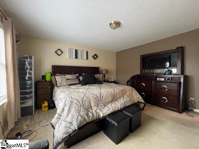 13 Queens Street Fountain Inn, SC 29644 - Photo 14 of 24 Gallery Image 14