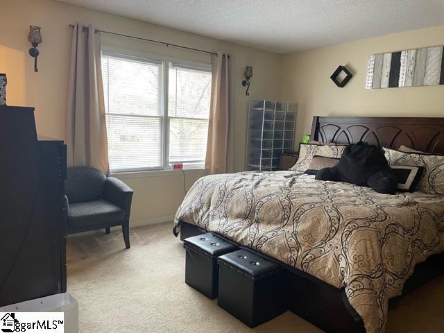 13 Queens Street Fountain Inn, SC 29644 - Photo 15 of 24 Gallery Image 15
