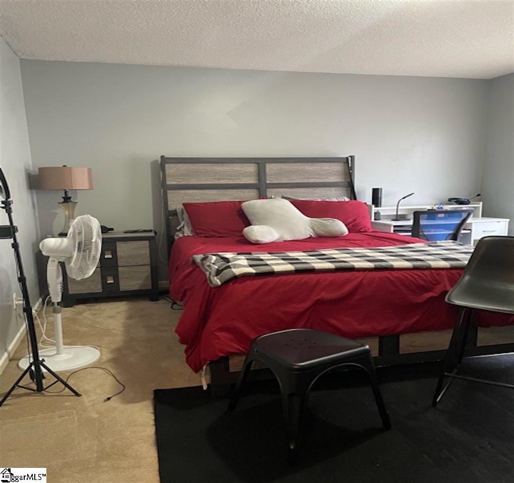 13 Queens Street Fountain Inn, SC 29644 - Photo 18 of 24 Gallery Image 18