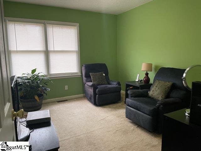 13 Queens Street Fountain Inn, SC 29644 - Photo 21 of 24 Gallery Image 21