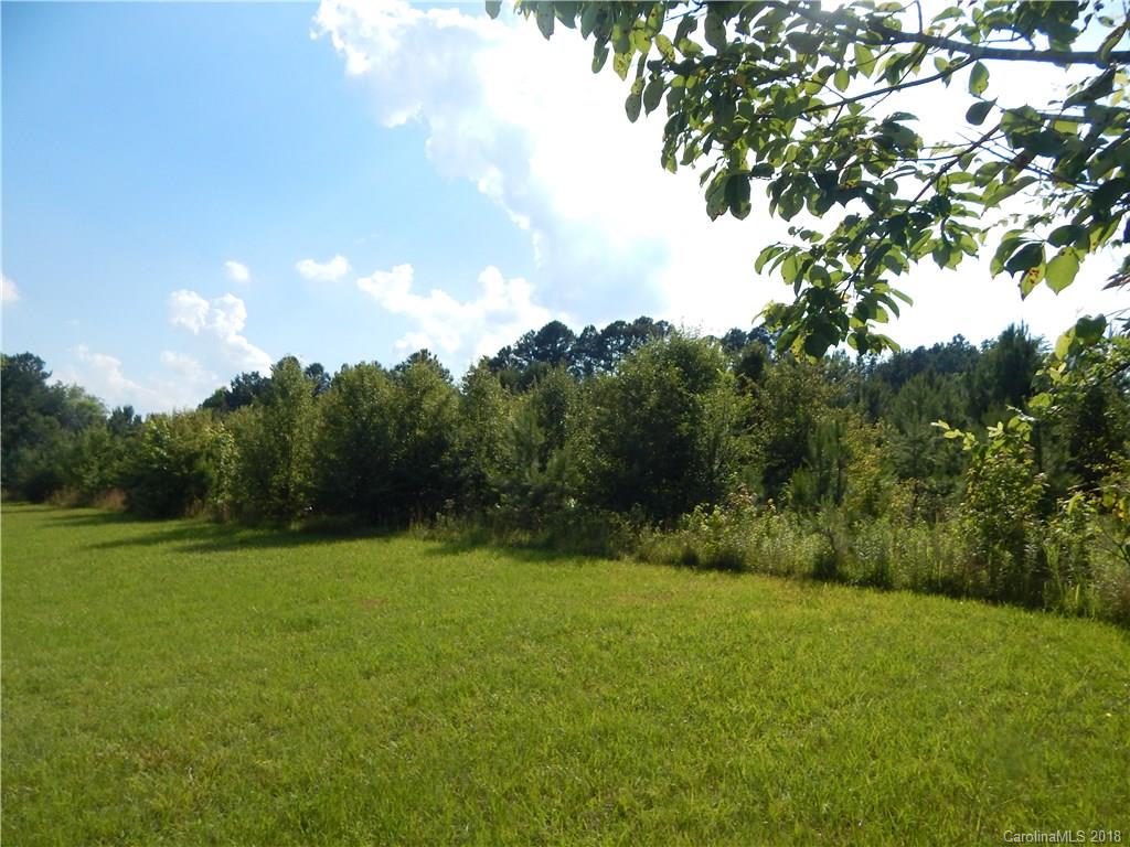 0 West Liberty Hill Road York, SC 29745 - Photo 4 of 7