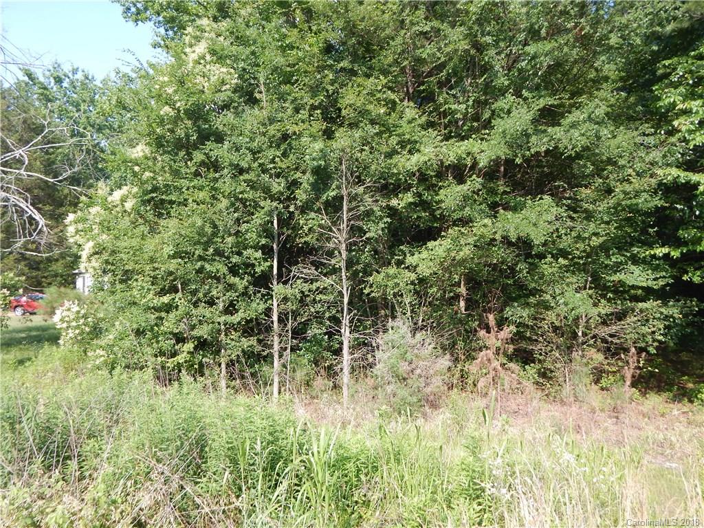 0 West Liberty Hill Road York, SC 29745 - Photo 6 of 7