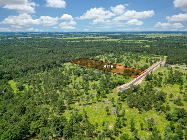 a view of a city with lush green forest