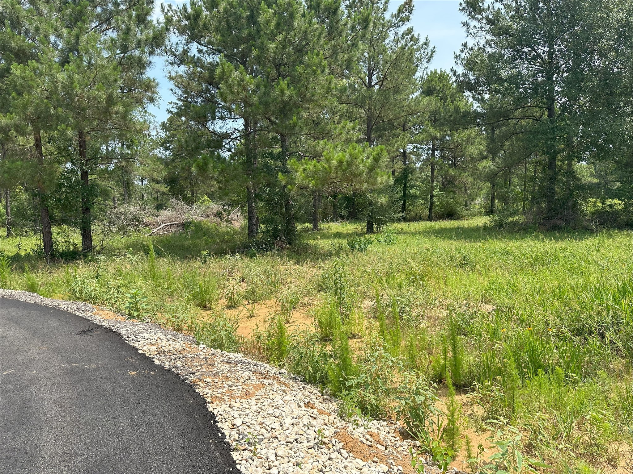 31879 Boone Road Waller, TX 77484 - Photo 18 of 19 a view of a lake with a yard