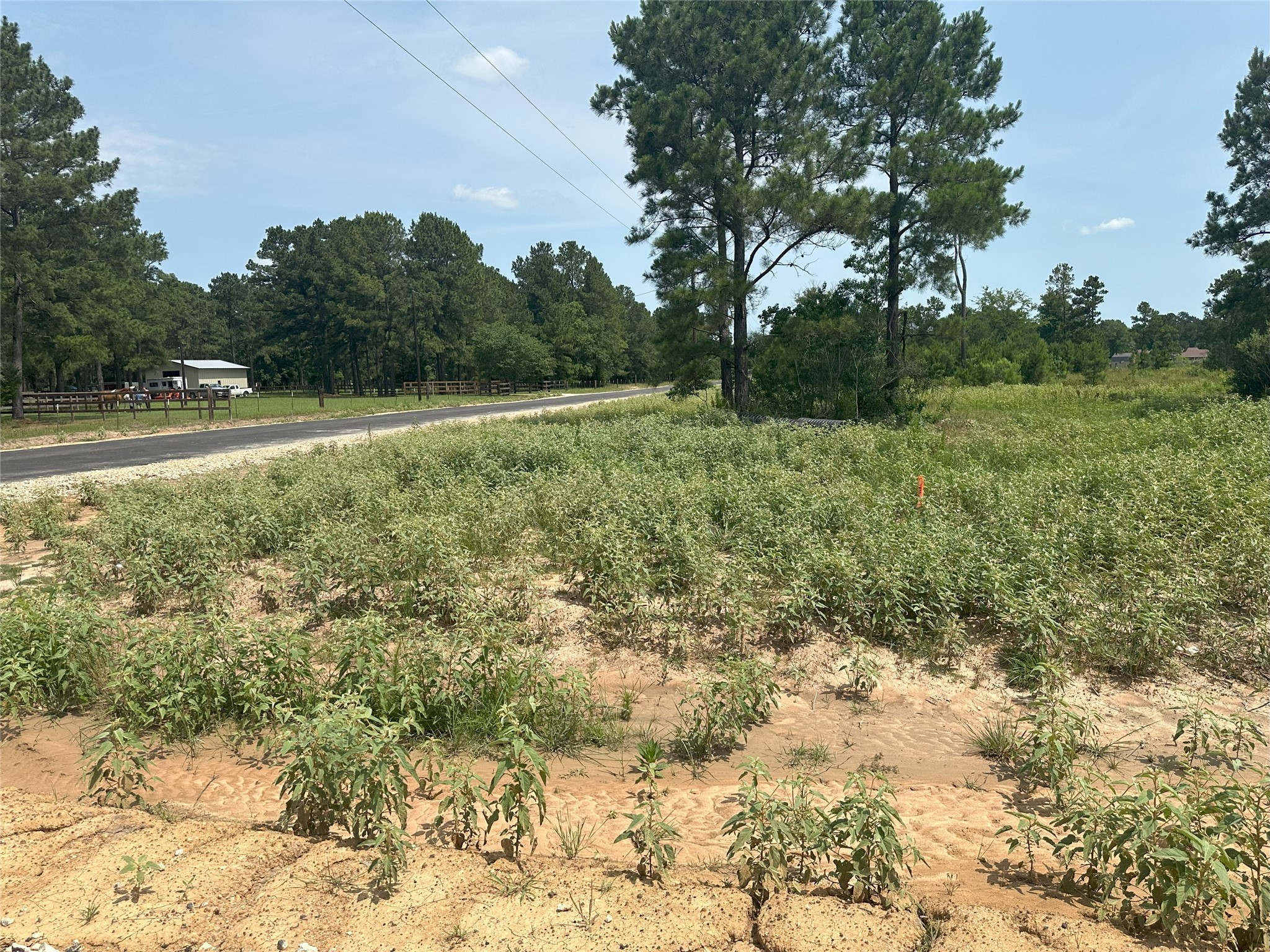 31879 Boone Road Waller, TX 77484 - Photo 7 of 19 a view of outdoor space and yard