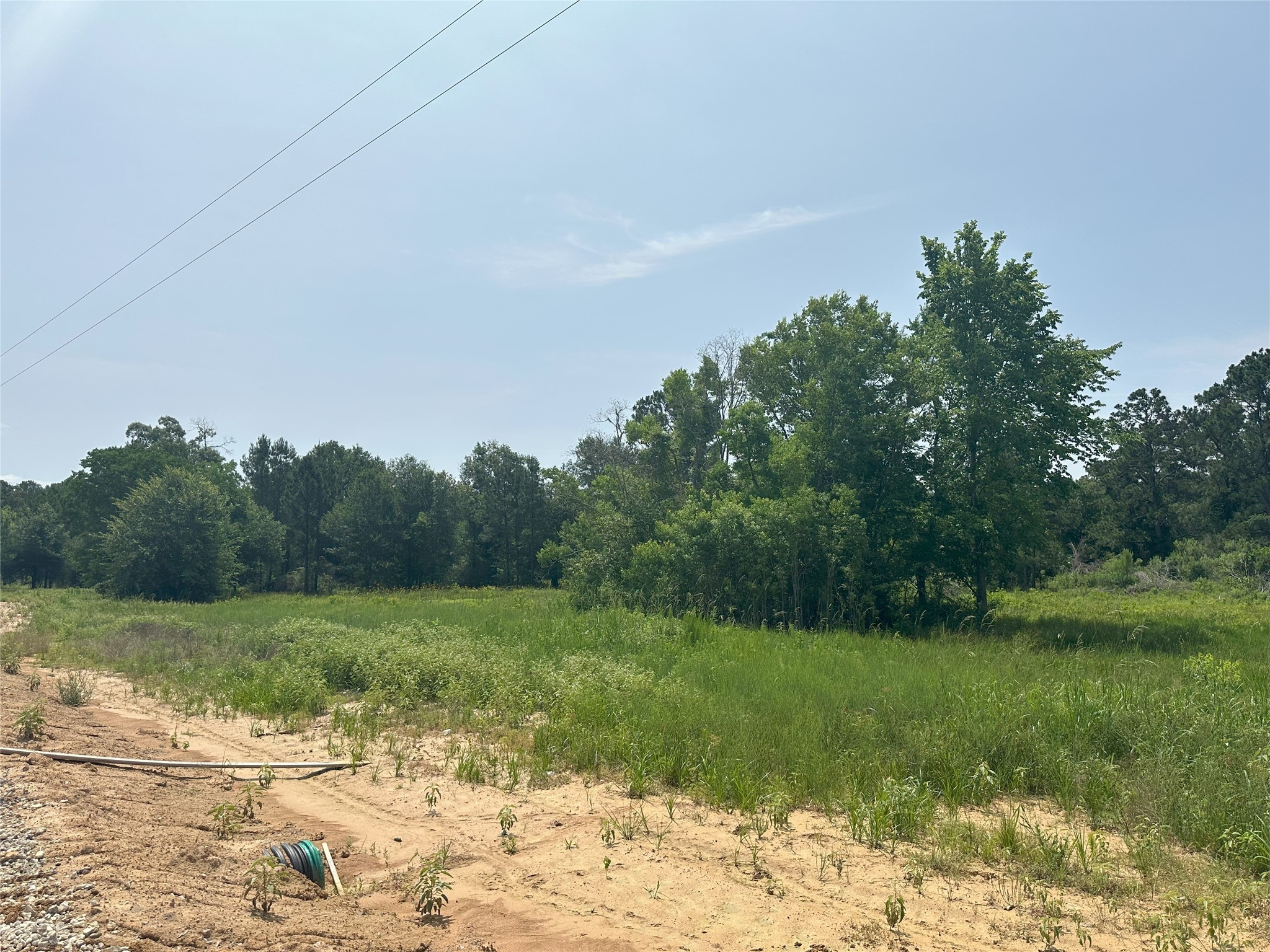31879 Boone Road Waller, TX 77484 - Photo 10 of 19 a view of a field with an trees in the background