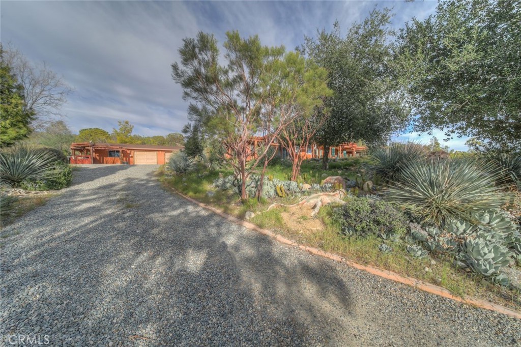 37440 Old Forest Road Anza, CA 92539 - Photo 65 of 72