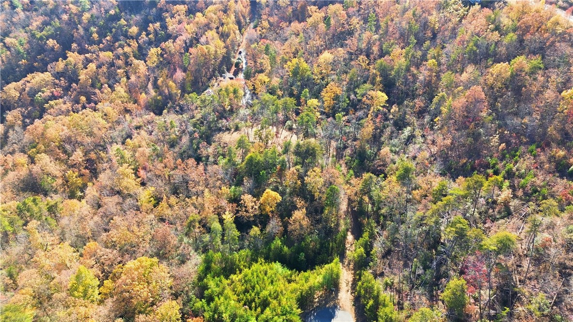 N-26 A Jocassee Ridge Way Salem, SC 29676 - Photo 19 of 41