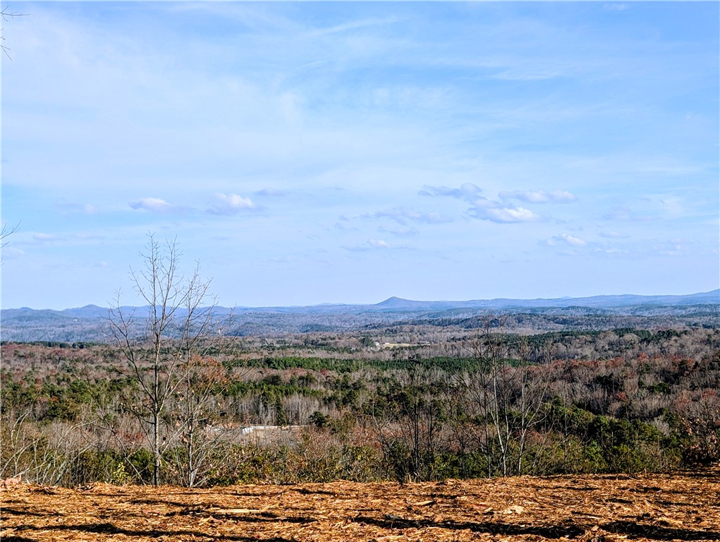 N-26 A Jocassee Ridge Way Salem, SC 29676 - Photo 2 of 41 Mountain Range Views
