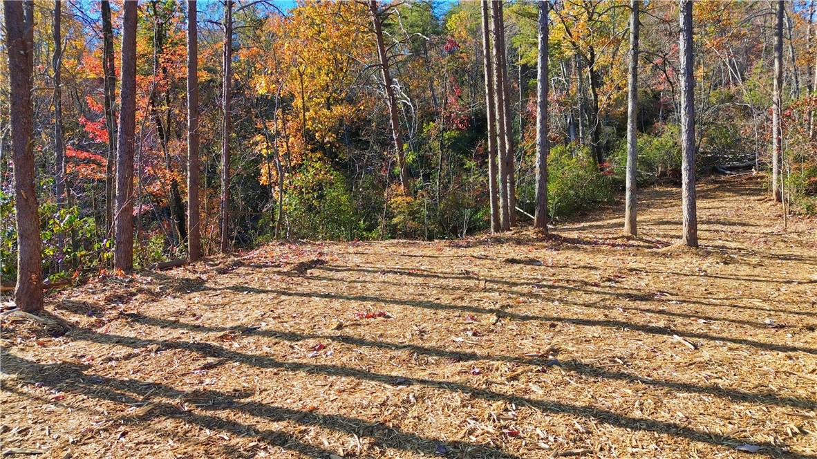 N-26 A Jocassee Ridge Way Salem, SC 29676 - Photo 27 of 41