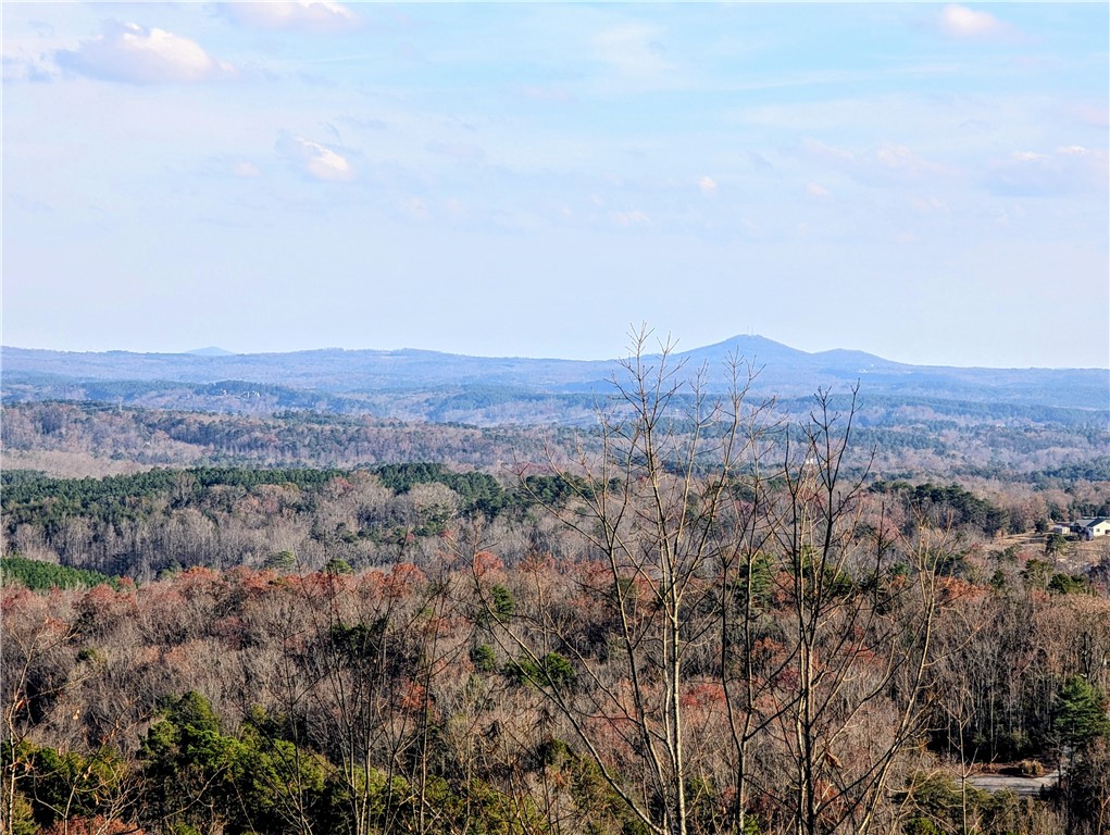 N-26 A Jocassee Ridge Way Salem, SC 29676 - Photo 4 of 41