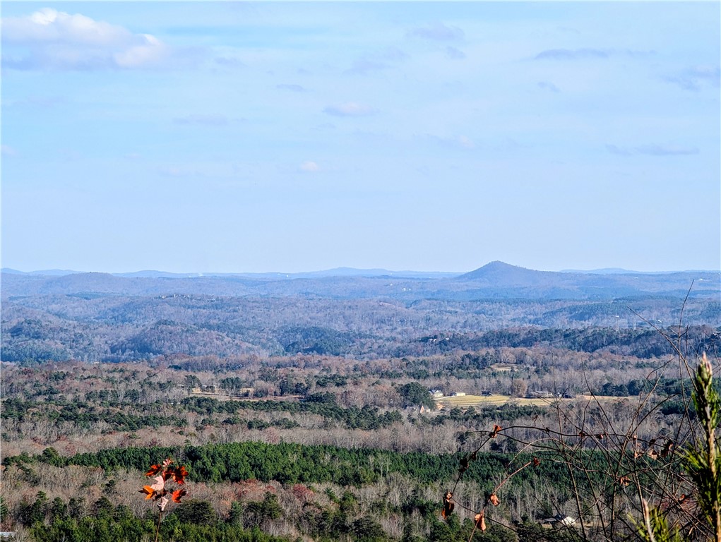 N-26 A Jocassee Ridge Way Salem, SC 29676 - Photo 5 of 41
