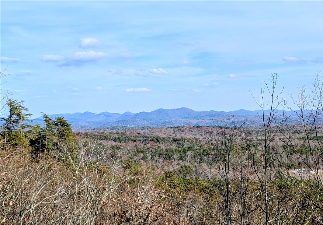 N-26 A Jocassee Ridge Way Salem, SC 29676 - Photo 6 of 41