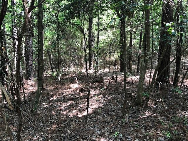 6-ac Lester Bell Road Brantley, AL 36009 - Photo 8 of 14 Gallery Image 8