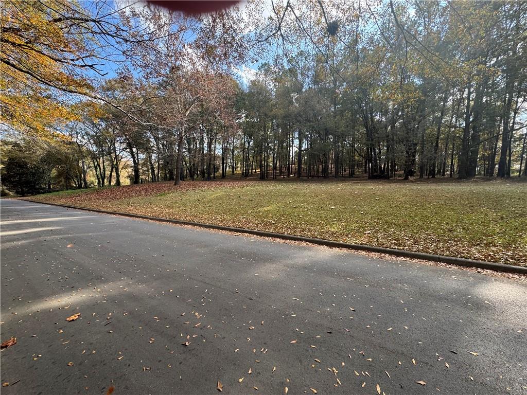 0 Knight Street Cartersville, GA 30120 - Photo 3 of 7 a view of outdoor space with yard and green space