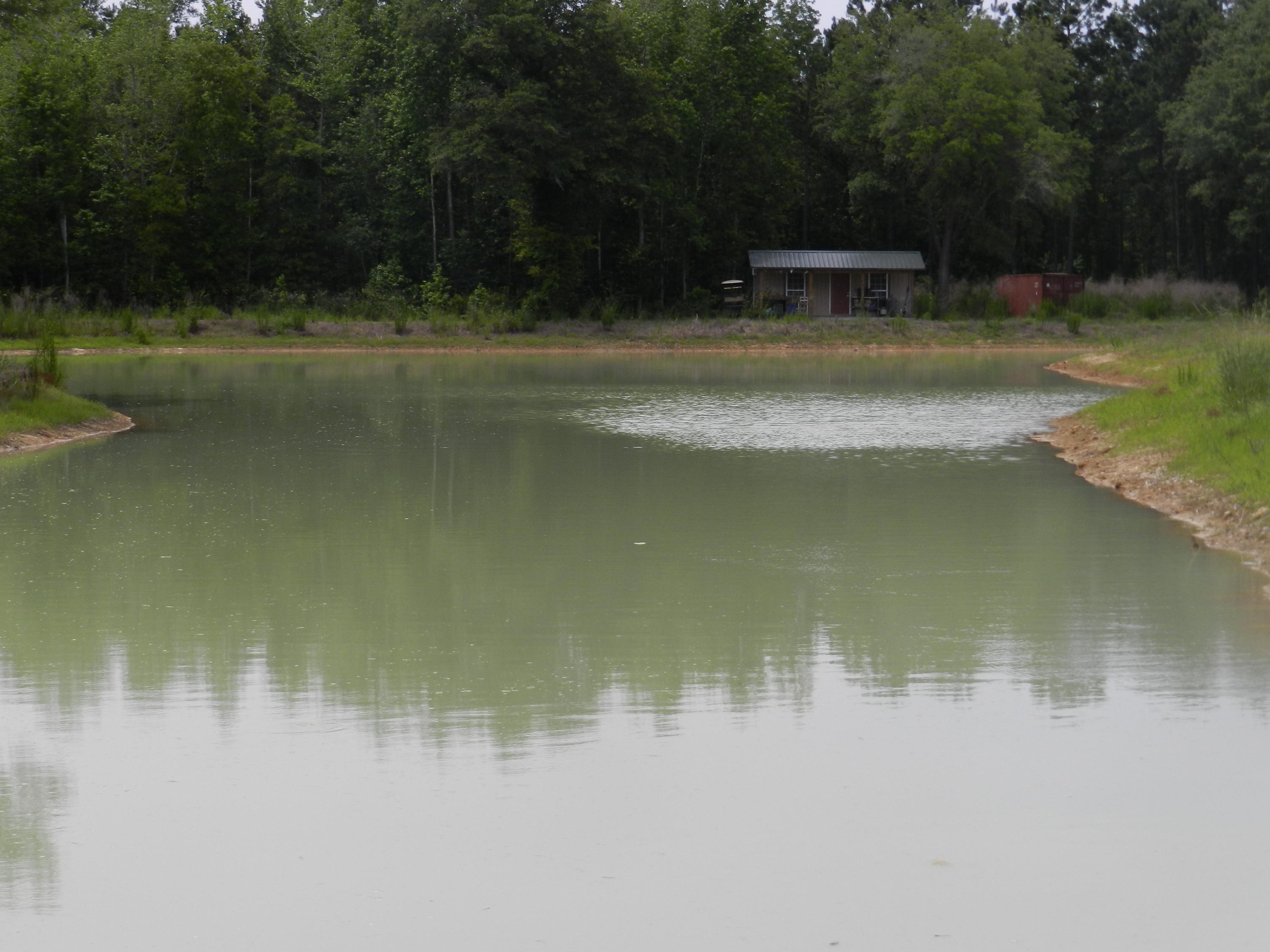 0 Oakridge Road Andrews, SC 29510 - Photo 3 of 11 DSCN0405