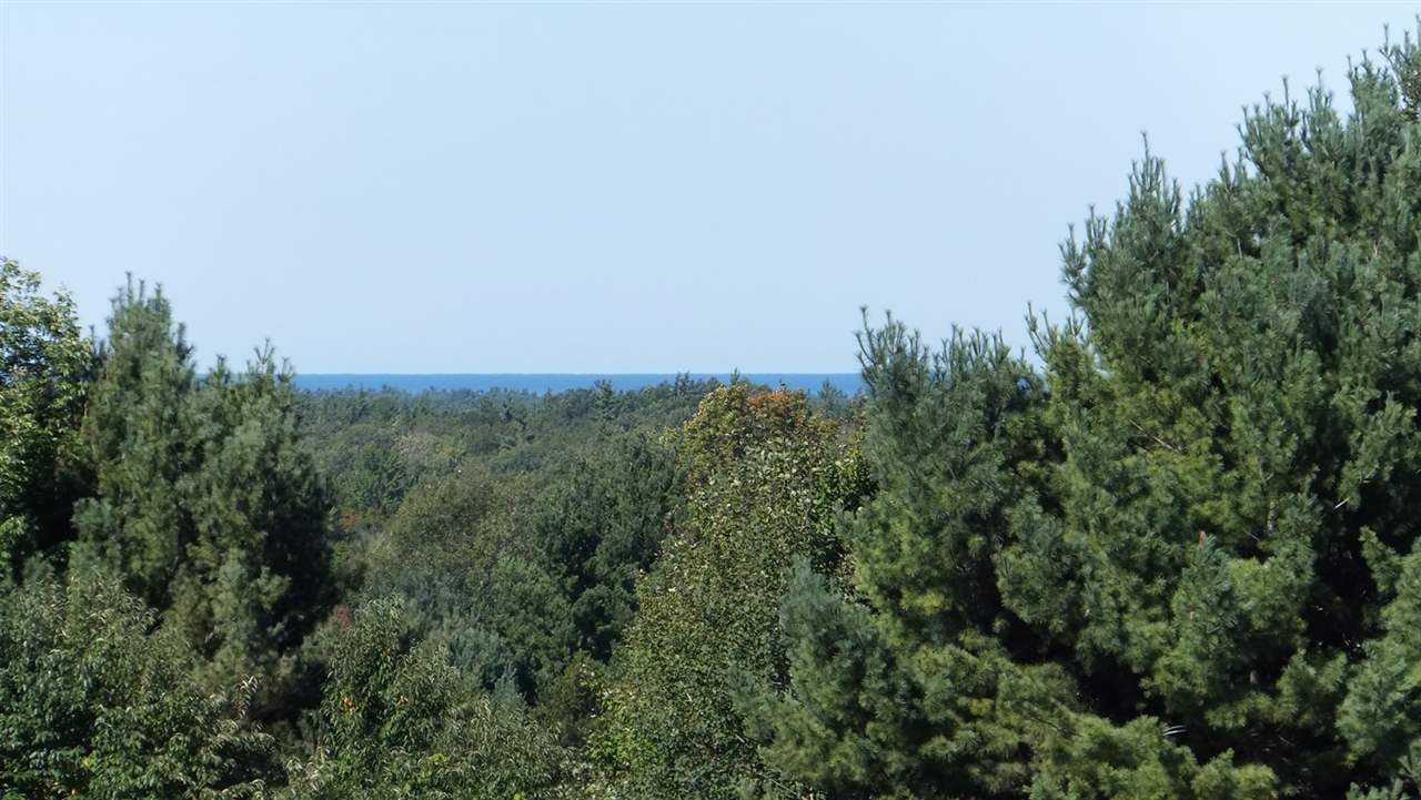 9733 Martin Road Honor, MI 49640 - Photo 40 of 43 1827727-39.JPG