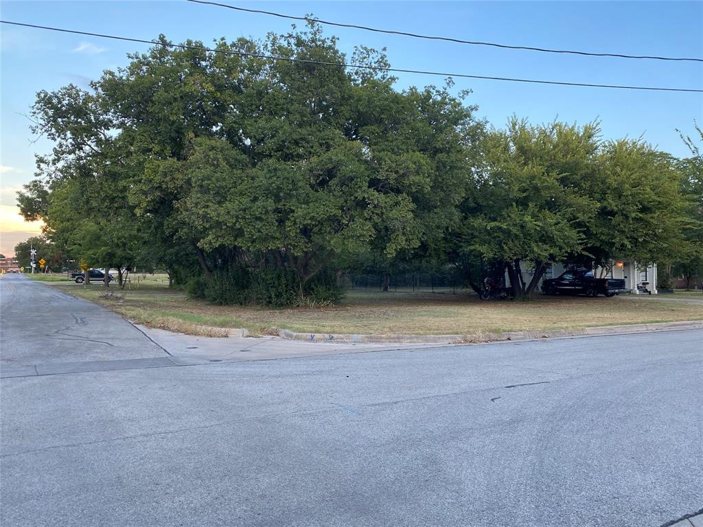 229 South Wilson Street Burleson, TX 76028 - Photo 16 of 16 a view of a yard with a trampoline