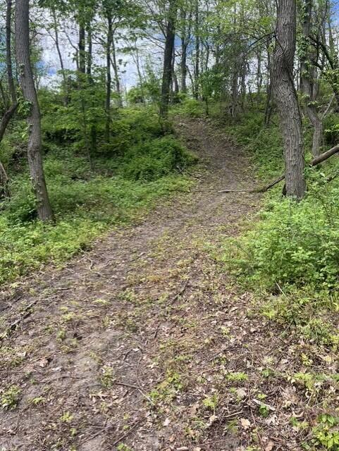 Parcel A West County Line Road Greenville, MI 48838 - Photo 5 of 14 P4