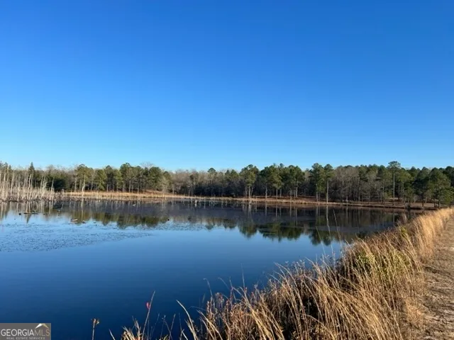 a view of a lake with a mountain in the background
