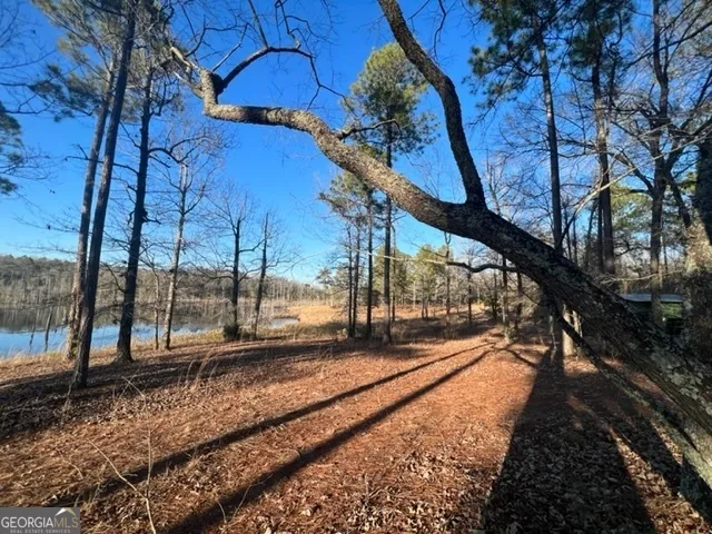 a view of a yard with an empty room