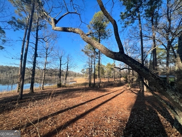 10 Mallard Road Butler, GA 31006 - Photo 11 of 13 a view of a yard with an empty room