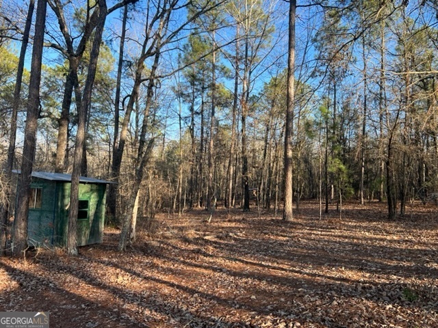 10 Mallard Road Butler, GA 31006 - Photo 12 of 13 a backyard of a house with lots of green space
