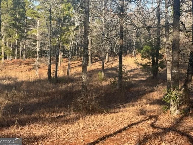 $166,000 | 10 Mallard Road, Butler, GA 31006