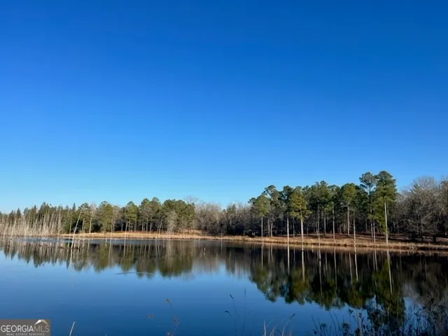 a view of a lake with trees in the background
