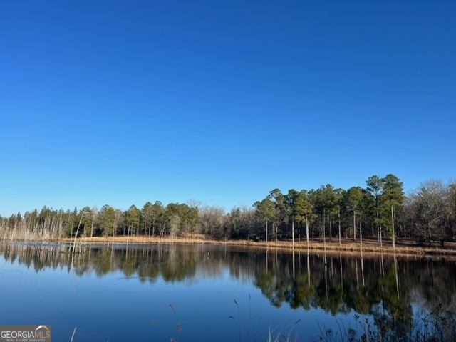 10 Mallard Road Butler, GA 31006 - Photo 2 of 13 a view of a lake with trees in the background