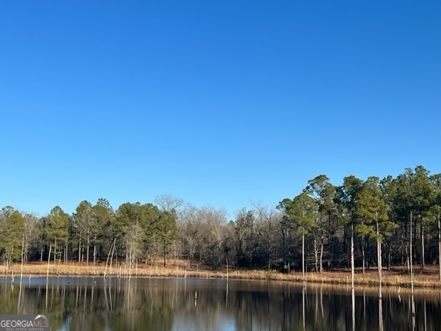 10 Mallard Road Butler, GA 31006 - Photo 3 of 13 a view of a lake with houses in background