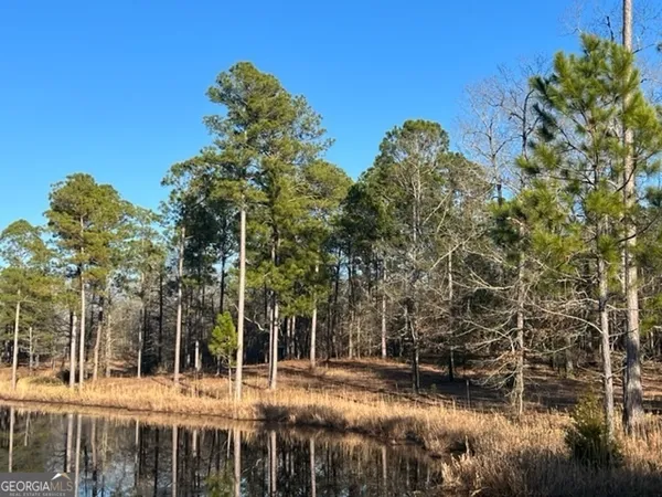 a view of a large yard with a fountain in front of it