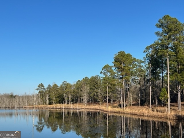 10 Mallard Road Butler, GA 31006 - Photo 5 of 13 a view of a lake with a mountain